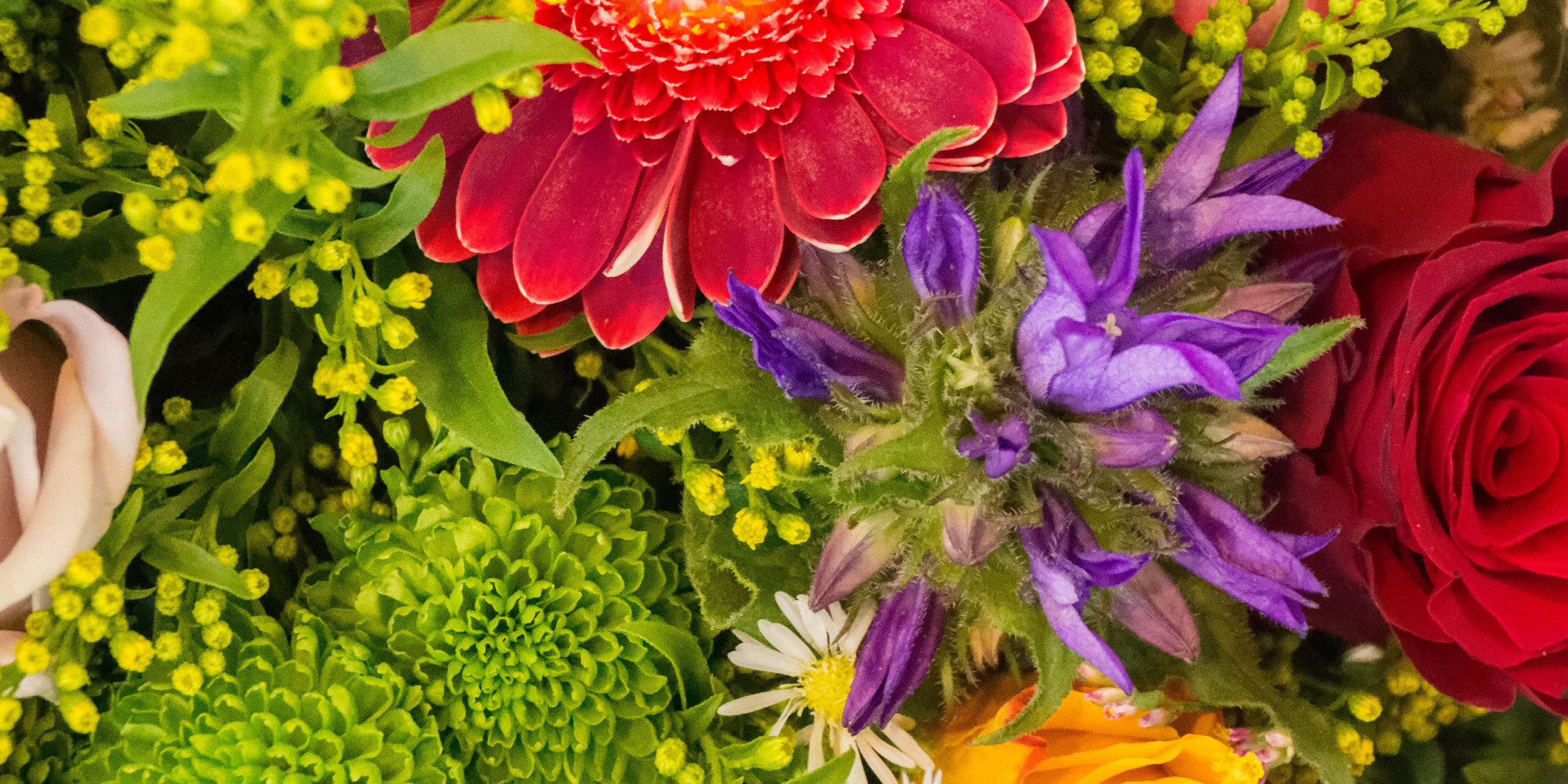 blog_naturkosmetik_bio